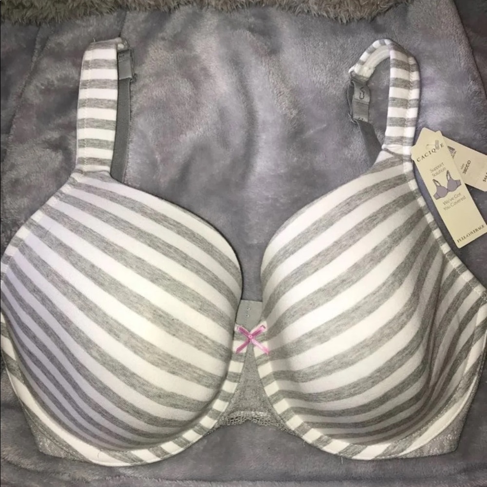 Lane Bryant 38DDD set